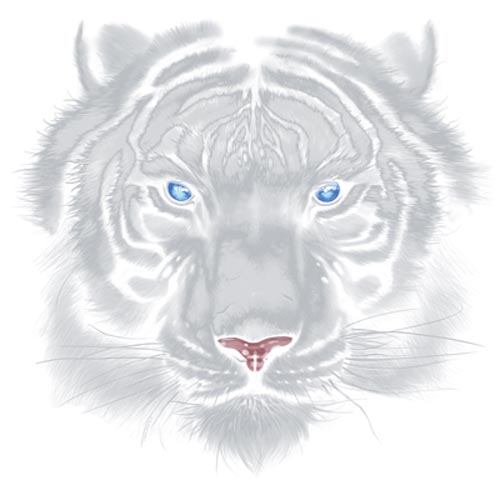 TRANSFER MAJESTIC WHITE TIGER (DARKS ONLY)