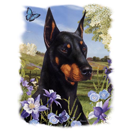 TRANSFER DOBERMAN