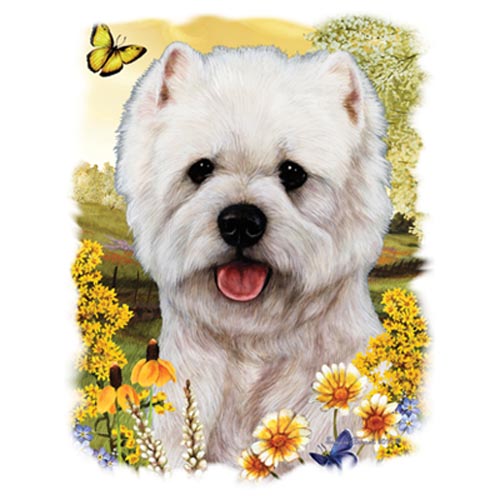 TRANSFER WESTIE