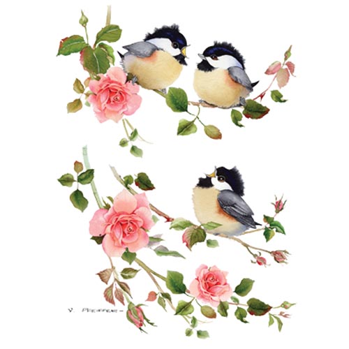 TRANSFER CHICKS & ROSES