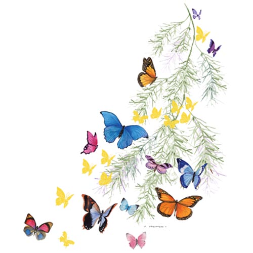 TRANSFER BUTTERFLY SHOULDER