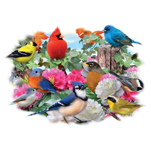 TRANSFER BIRDS FOR ALL SEASONS
