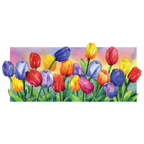 TRANSFER BOARDERED TULIPS
