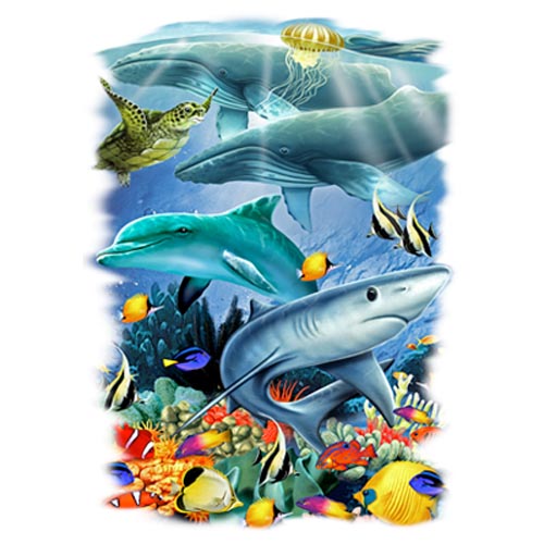 TRANSFER OCEANVIEW