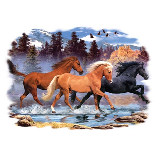 TRANSFER RUNNING FREE 2
