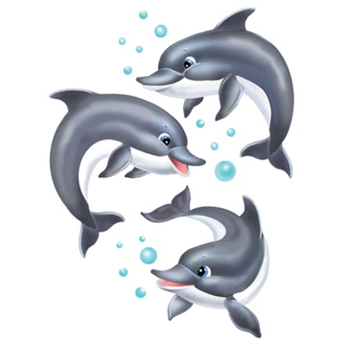 TRANSFER SHARK SEA LIFE