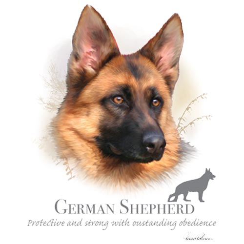 TRANSFER GERMAN SHEPHERD - HR
