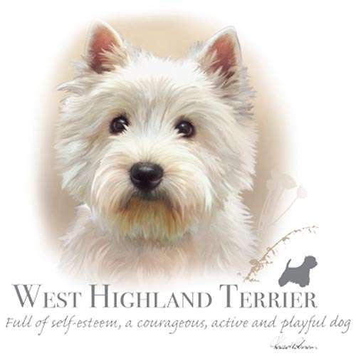 TRANSFER WEST HIGHLAND TERRIER - HR