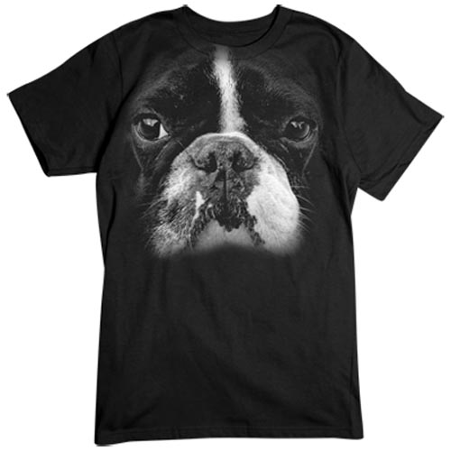 TRANSFER BIG BOSTON TERRIER FACE