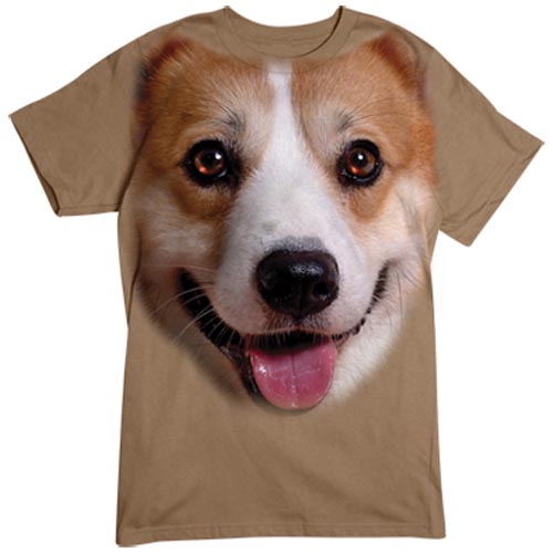 TRANSFER BIG CORGI FACE