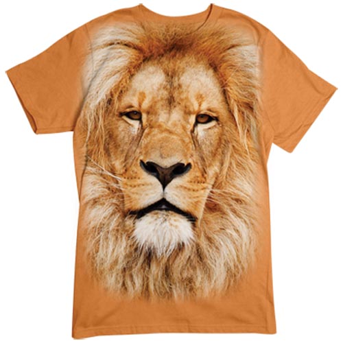 TRANSFER LION FACE
