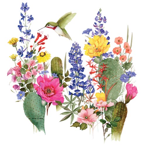 TRANSFER NEW HUMMERS DESERT BLOOMS