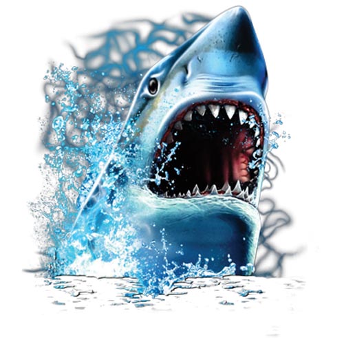 TRANSFER SHARK BITE