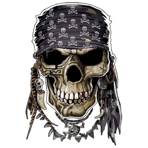 TRANSFER PIRATE SKULL