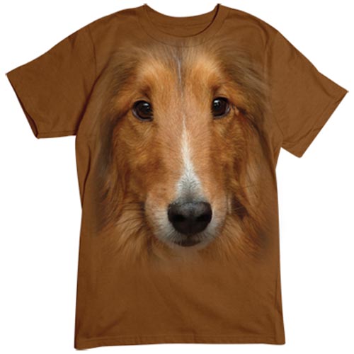 TRANSFER BIG SHELTIE FACE