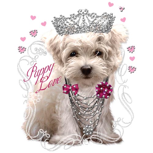 TRANSFER COMBINATO PUPPY RHINESTONES