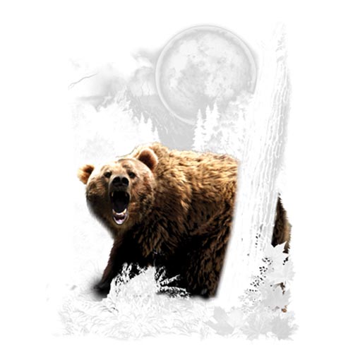 TRANSFER BEAR WILDERNESS (DARKS ONLY)