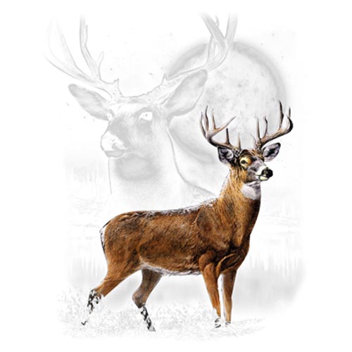 TRANSFER DEER WILDERNESS (DARKS ONLY)