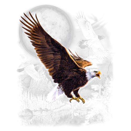 TRANSFER EAGLE WILDERNESS (DARKS ONLY)