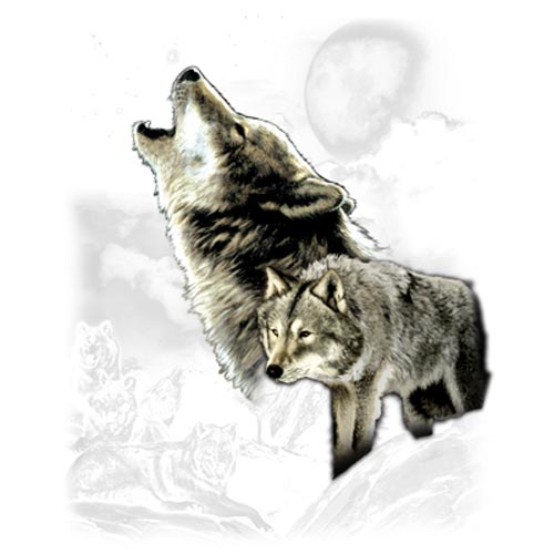 TRANSFER WOLF WILDERNESS (DARKS ONLY)