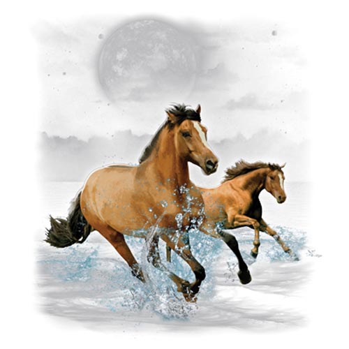 TRANSFER HORSE WILDERNESS (DARKS ONLY)