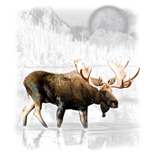 TRANSFER MOOSE WILDERNESS (DARKS ONLY)