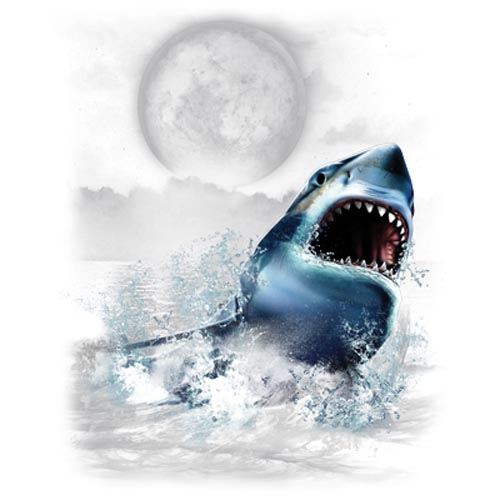 TRANSFER SHARK WILDERNESS (DARKS ONLY)