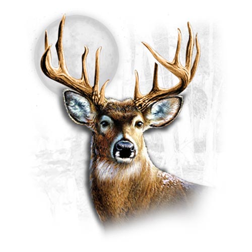 TRANSFER WHITETAIL WILDERNESS (DARKS ONLY)