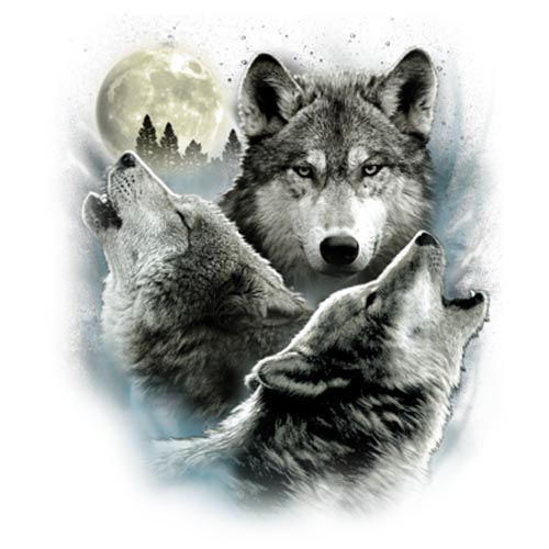 TRANSFER THREE WOLVES