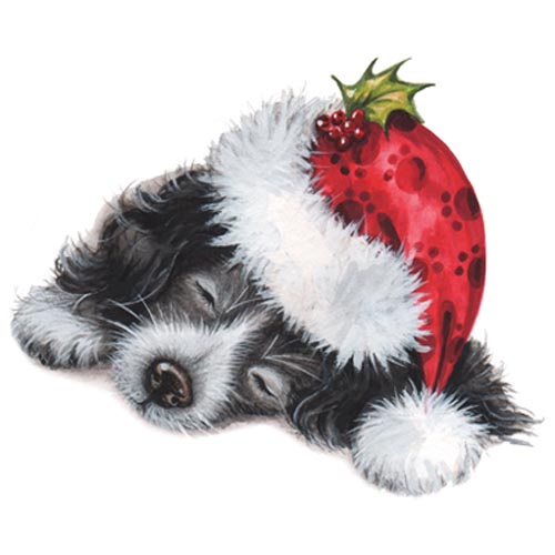 TRANSFER SANTA PUPPY
