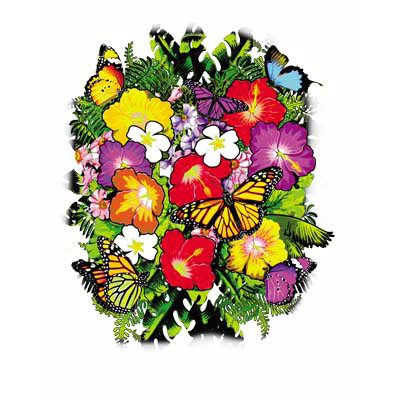 TRANSFER BUTTERFLY HIBISCUS