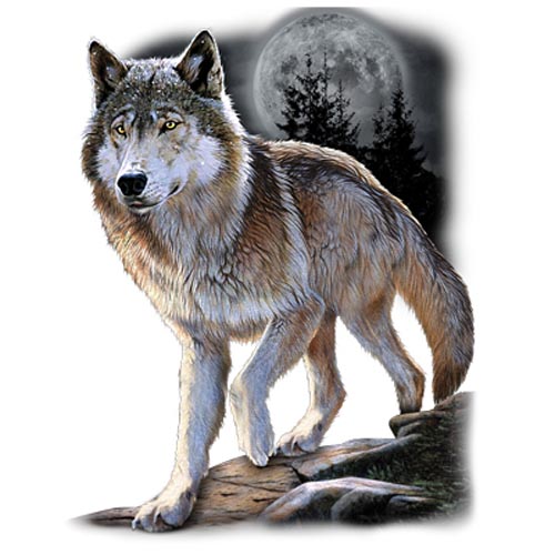 TRANSFER WOLF ALERT (DARKS ONLY)