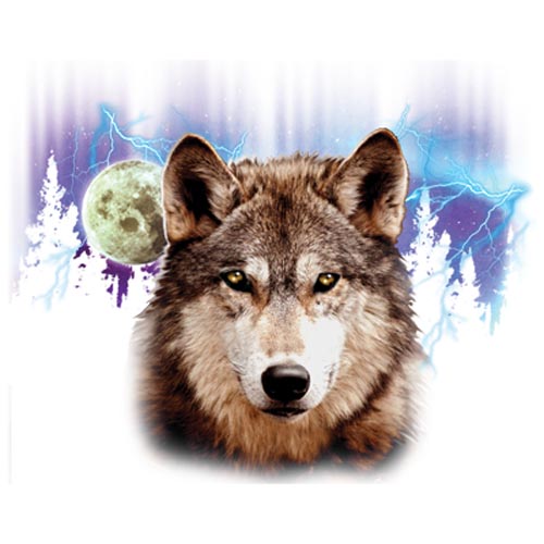 TRANSFER WOLF LIGHTNING