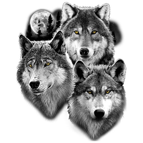 TRANSFER THREE WOLVES PORTRAIT