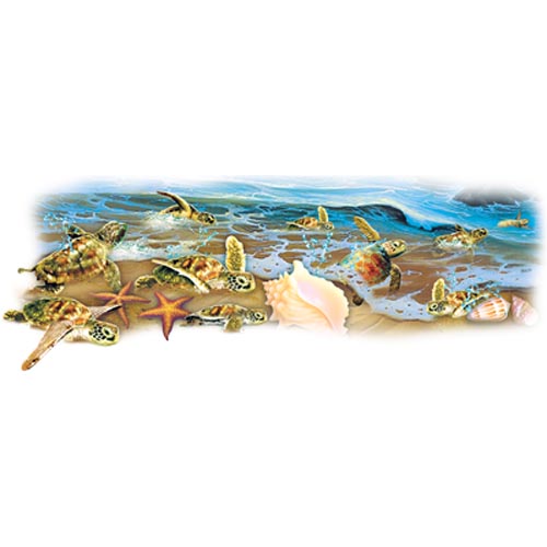 TRANSFER SEA TURTLES AND SHELLS