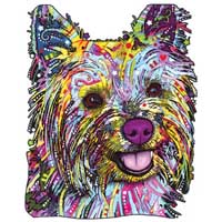 TRANSFER YORKIE