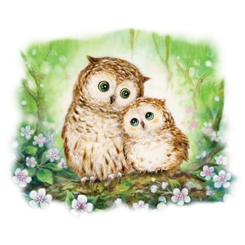 TRANSFER OWLS IN GREEN FOREST