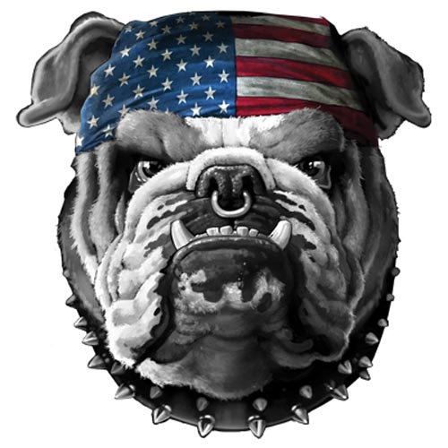 TRANSFER AMERICAN BULLDOG (DARKS ONLY)