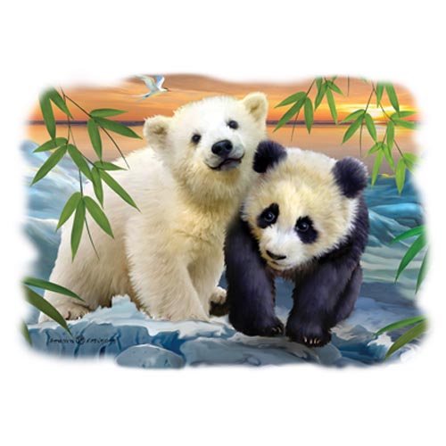 TRANSFER BEARS