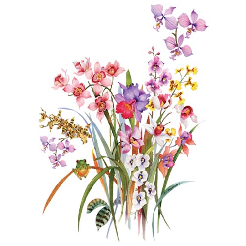 TRANSFER ORCHIDS AND FROGGIE