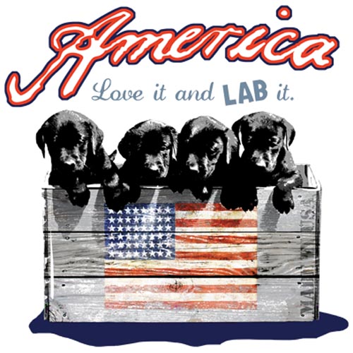 TRANSFER LAB IT