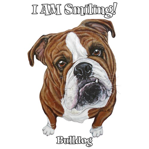 TRANSFER BULLDOG