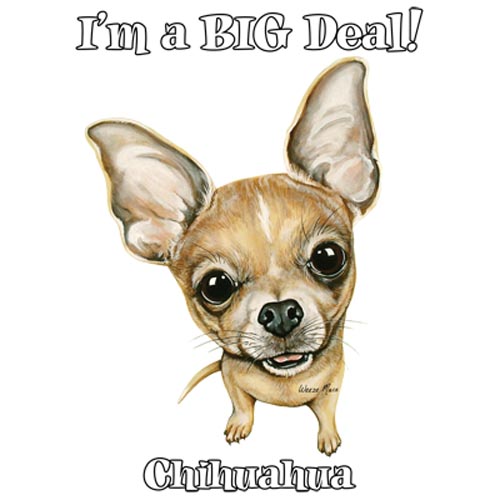 TRANSFER CHIHUAHUA