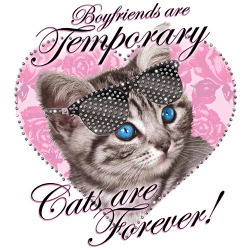TRANSFER FOREVER CAT RHINESTONES