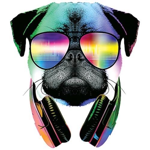 TRANSFER DJ PUG