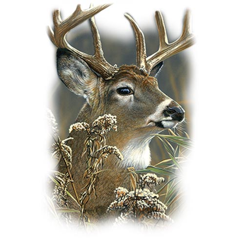 TRANSFER BUCK