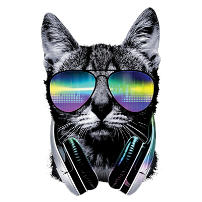 TRANSFER DJ CAT
