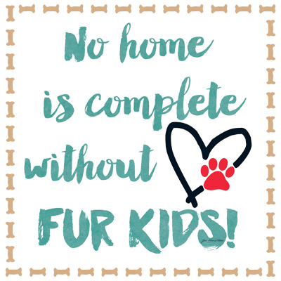 TRANSFER FUR KIDS