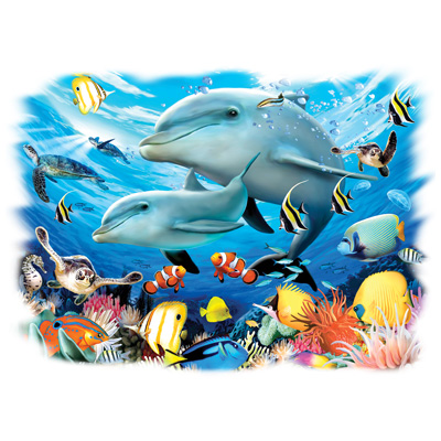 TRANSFER DOLPHIN PLAY
