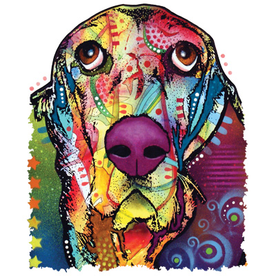 TRANSFER BASSET